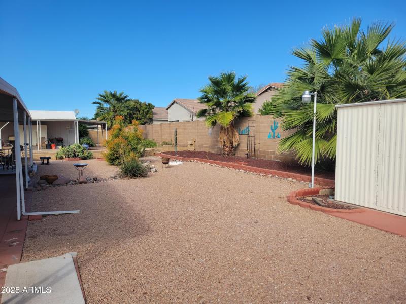 BACK YARD