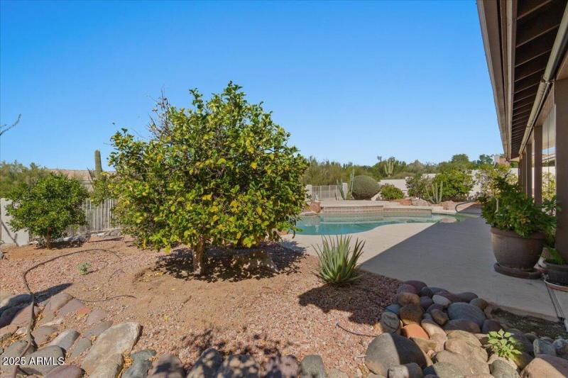 54-Back yard