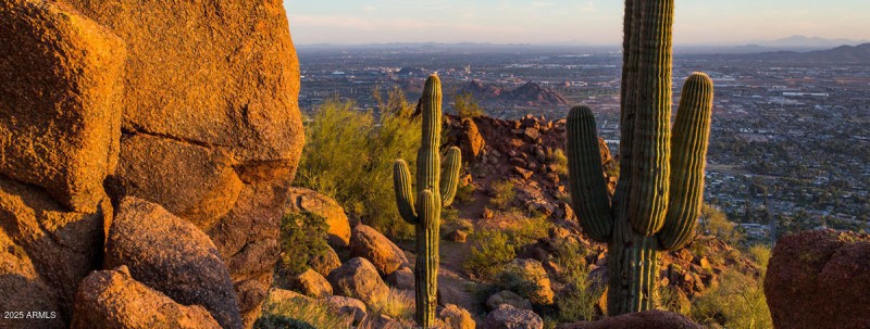 Desert views