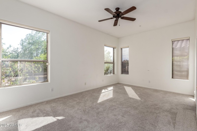 Primary Suite with Natural Light