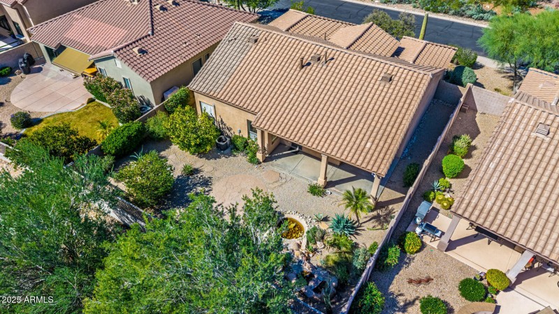 Backyard and Landscaping Detail