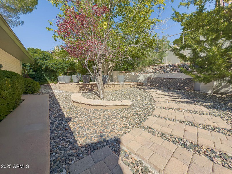 IMG_7029-IPH-CRF-PLS