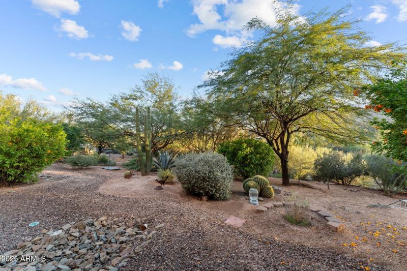 49-web-or-mls-DSC00156