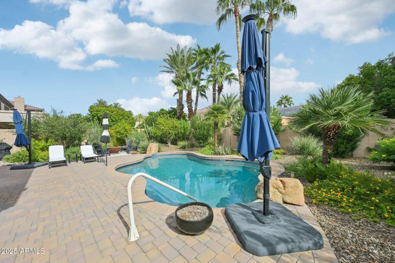 Views of the backyard