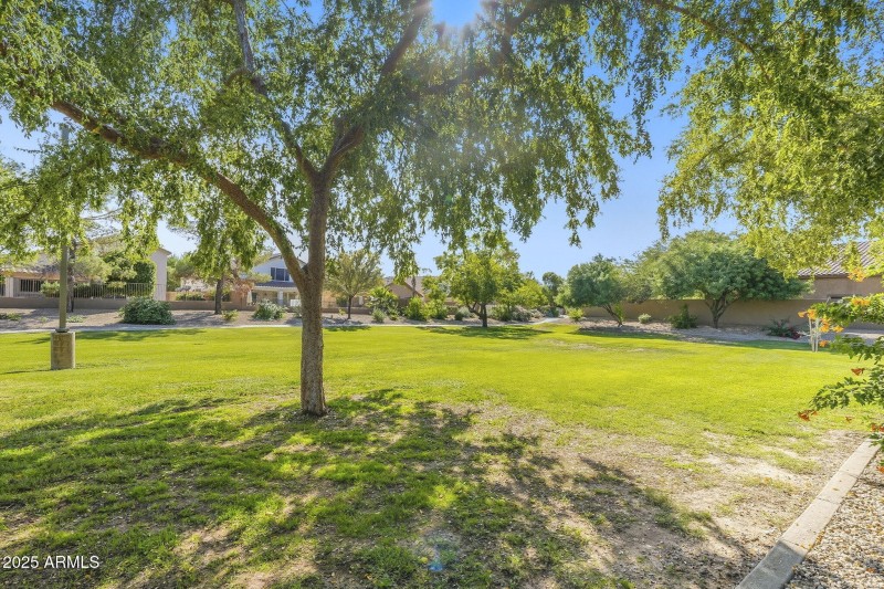 42-web-or-mls-ListerPros-42