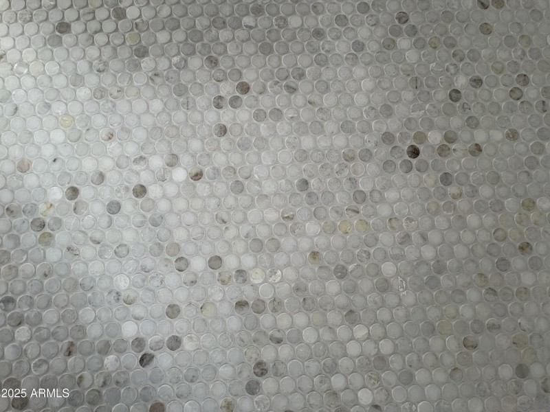 Primary Shower Floor