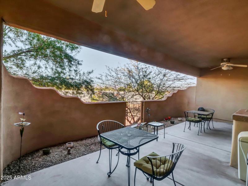 Looking out from patio