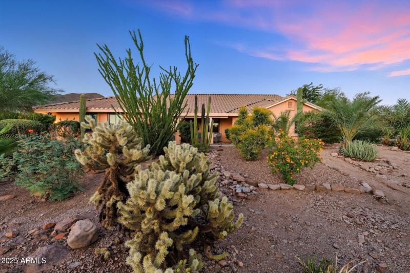 98-web-or-mls-Open Sky-twilight-2