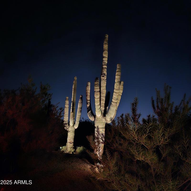 RC.MightySaguaro