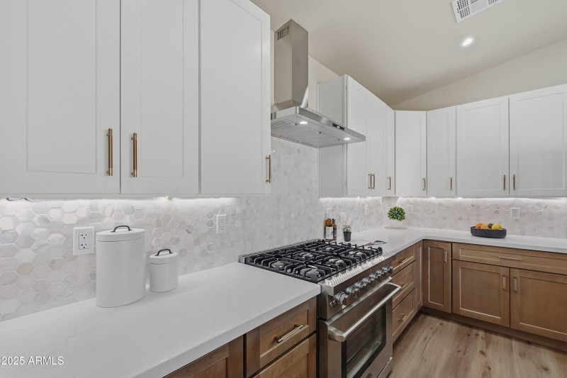 36" Professional Gas Range