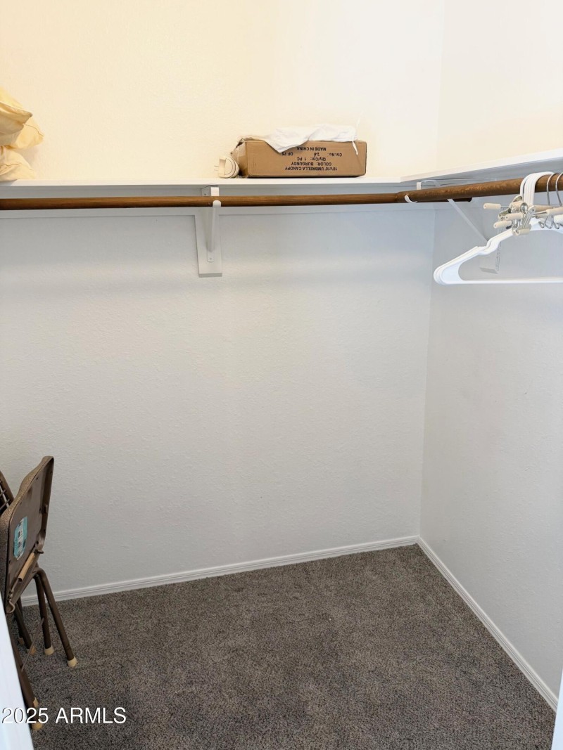 Guest Bedroom Walk-in Closet