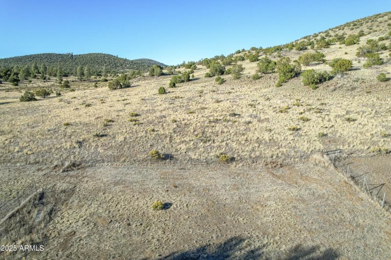 Borders National Forest