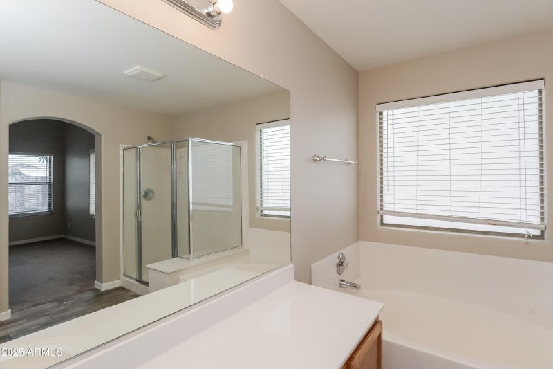 1006412.2033 W GREEN TREE DR - Main Bath