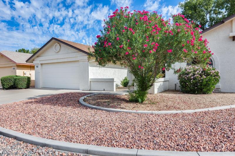 Low Maintenance Landscaping