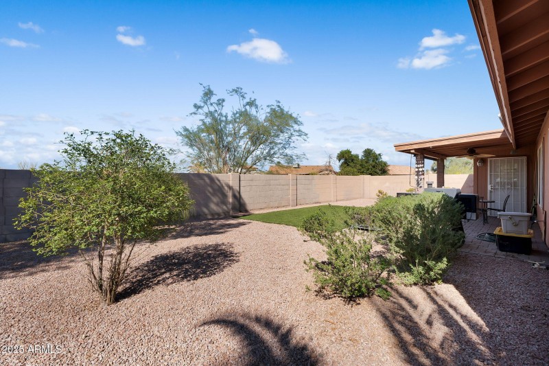 40-web-or-mls-Snead-46