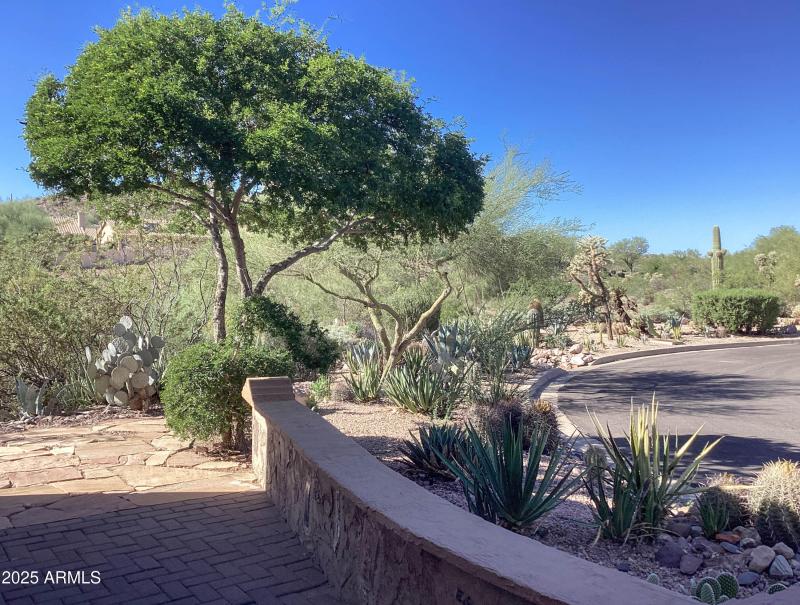 COBBLE STONE FRONT COURTYARD