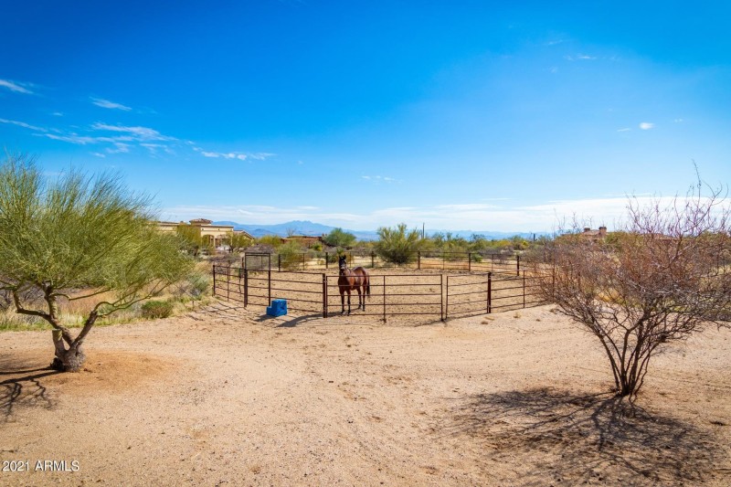 ROUND PEN & HOT WALKER