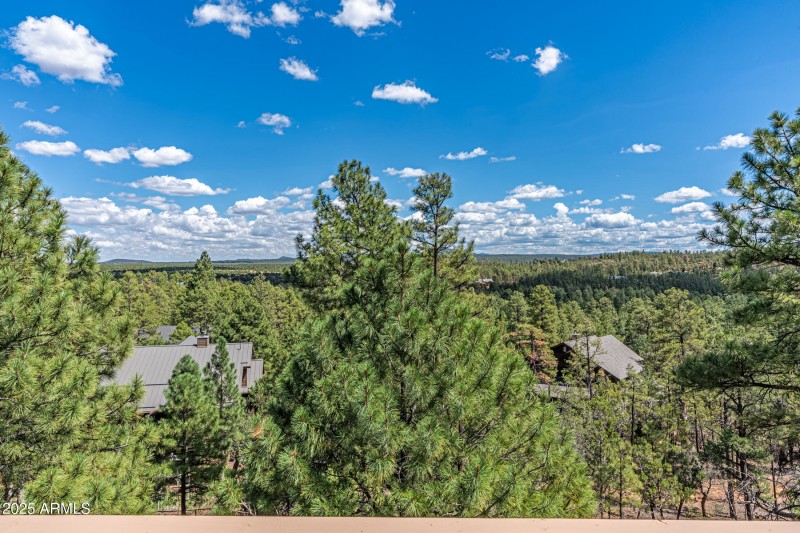 Imagine the Stargazing....