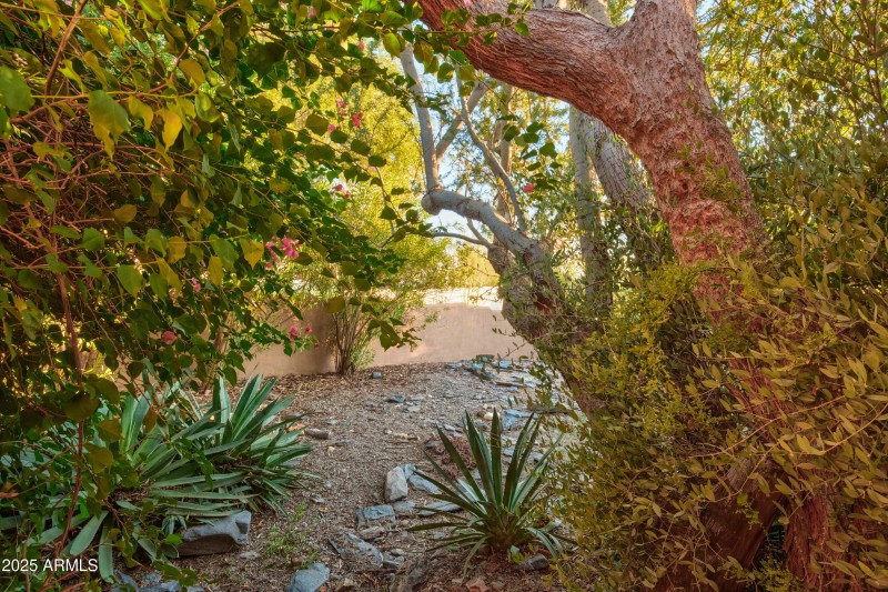 Side yard