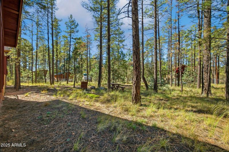 2890WildcatTrail-HeberOvergaardAZ-22