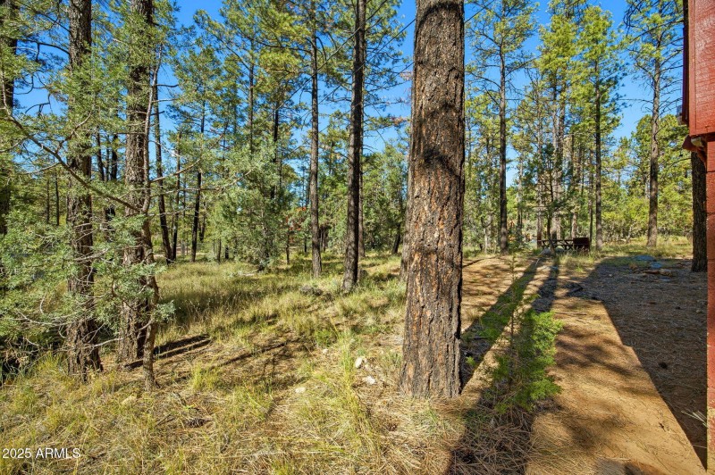 2890WildcatTrail-HeberOvergaardAZ-23