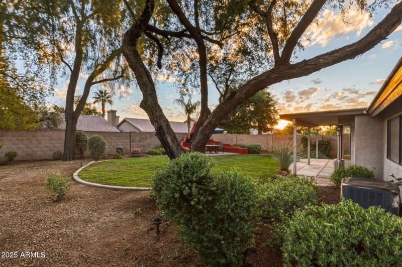 49-web-or-mls-4363 E Danbury Rd Phoenix,