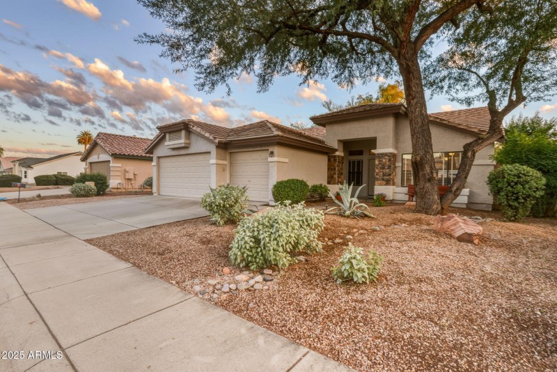 71-web-or-mls-4363 E Danbury Rd Phoenix,