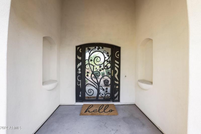 Iron/glass entry door