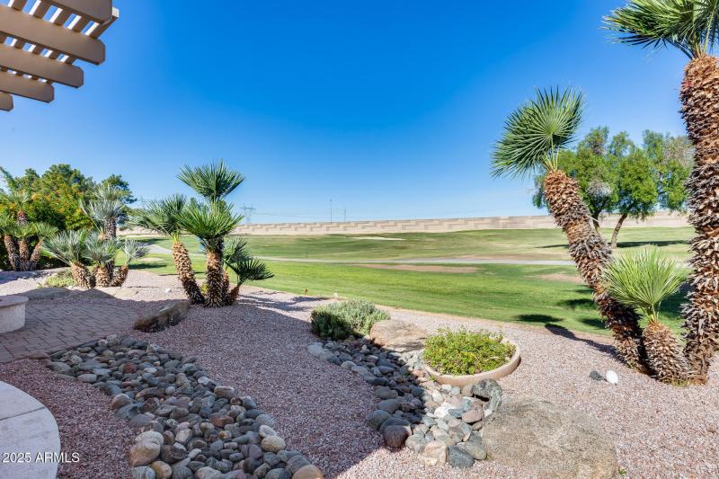 Back Patio View