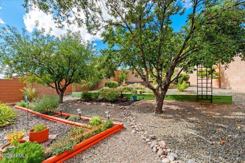 26-Backyard Apple Trees