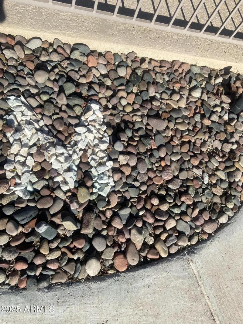 (Upload-from-mobile-1761332187)IMG_4855