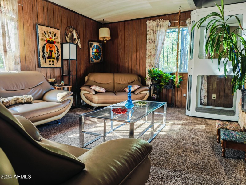 Living room/working elevator