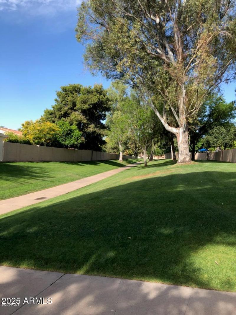 20200319030814106440000000-o