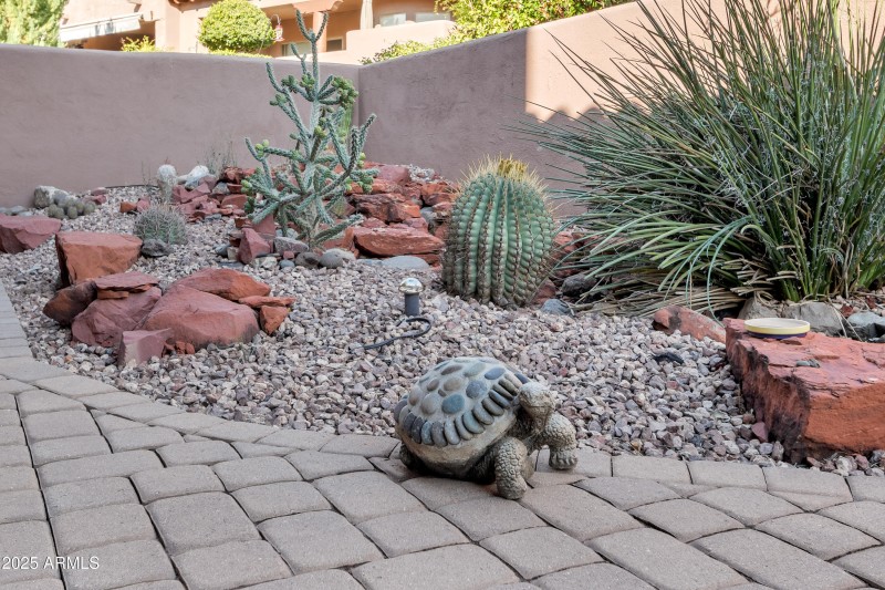 Hello There - Mr. Turtle!!