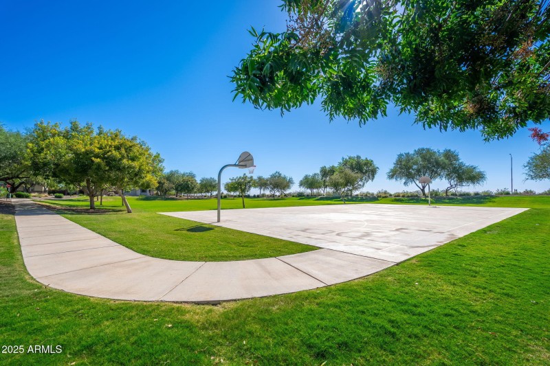 Andrea Drive Park - 01