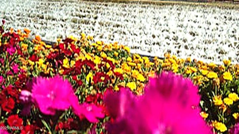 20240819185231693240000000-o_MLS_Clean_C