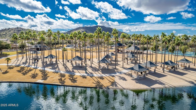 Palm-Lined Park Setting