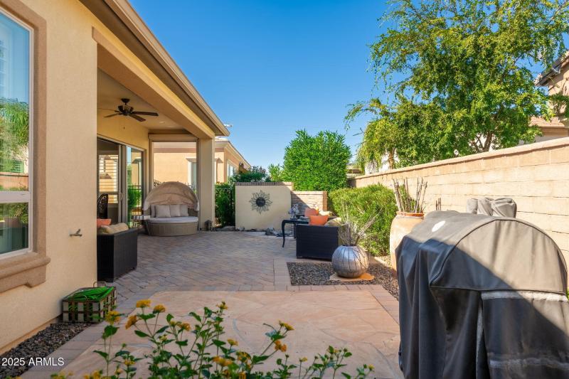 56 E Camellia Way - 35