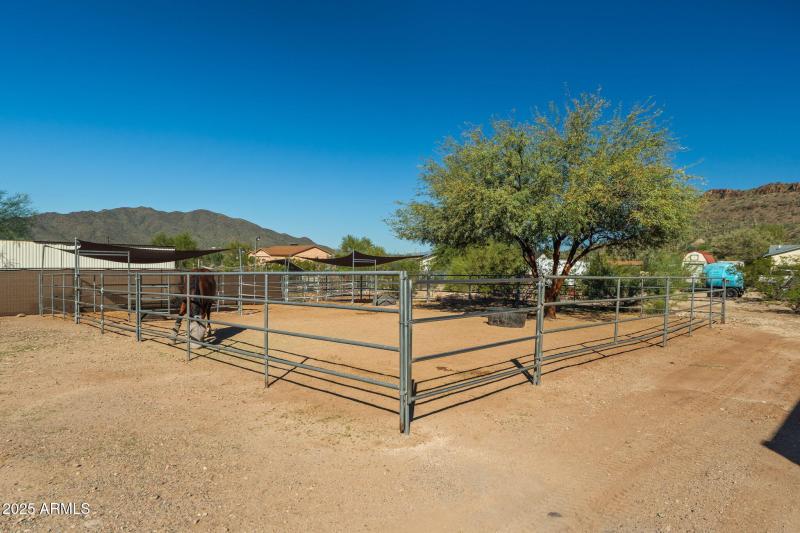 13-web-or-mls-Done-13