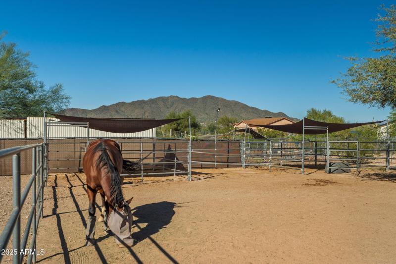 17-web-or-mls-Done-17