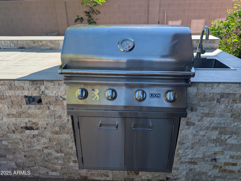 LION Gas Grill