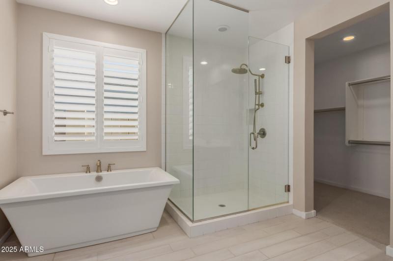 Primary Bathroom III