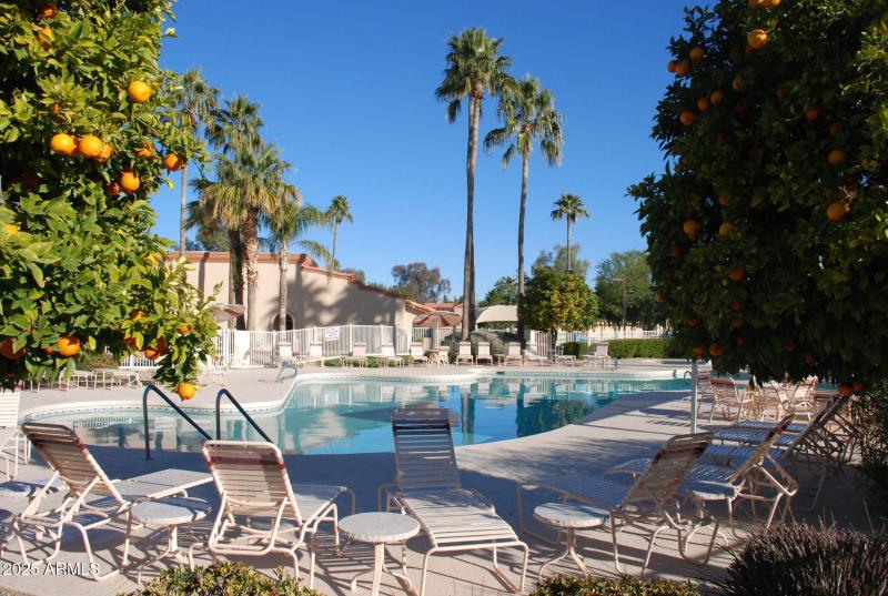 73-web-or-mls-DSC_0012