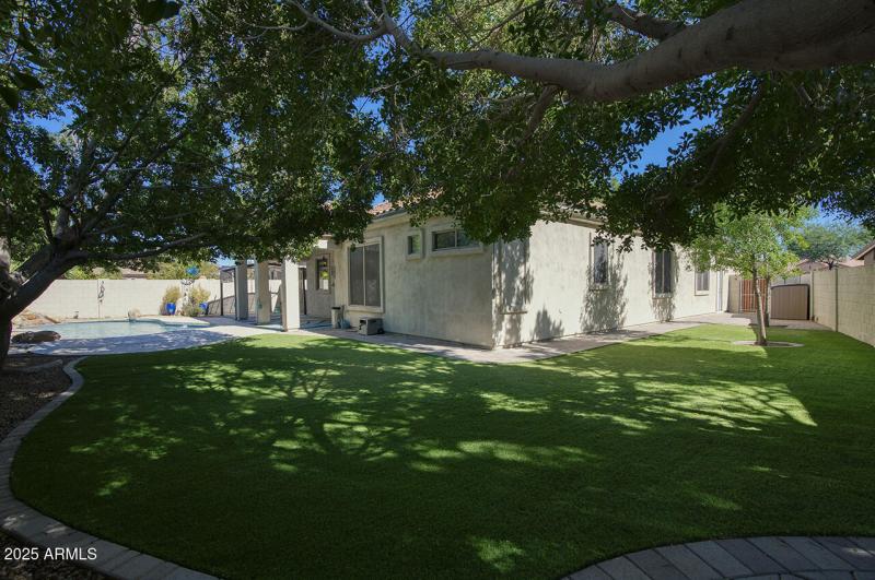 Synthetic Grass Backyard