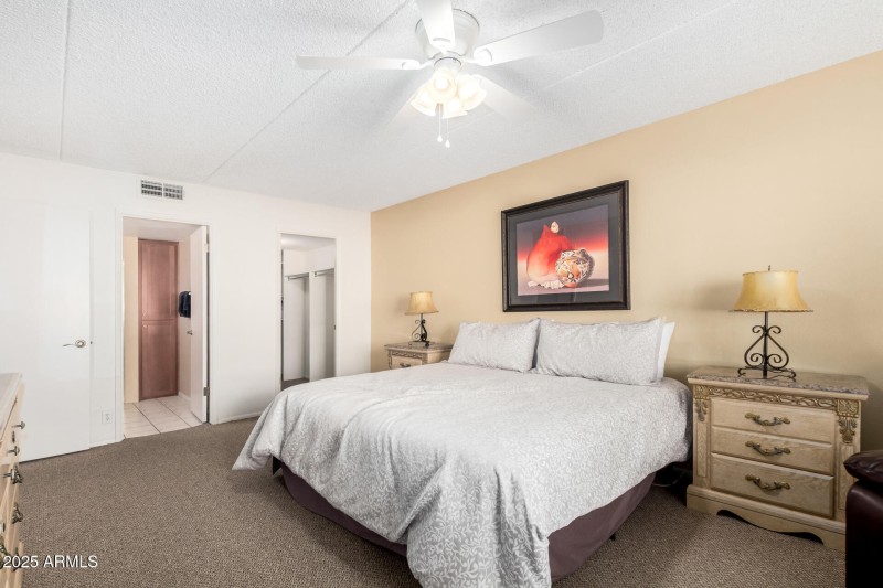 13 - Camelback 10-28-25