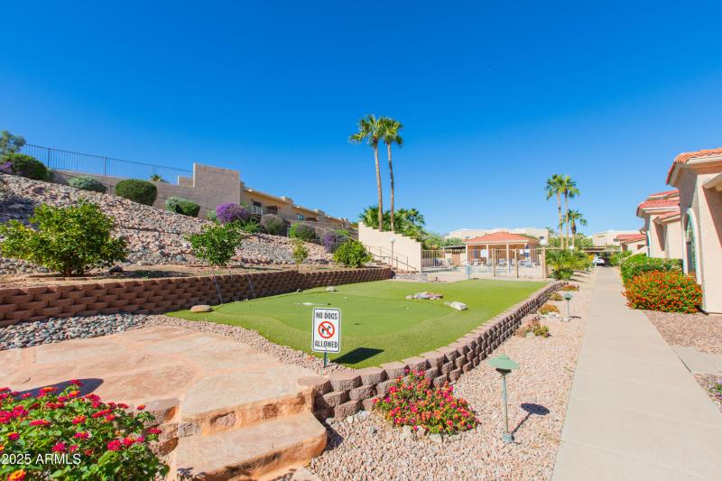 Community putting green area