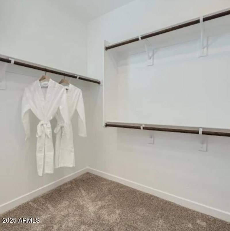 Owners Walk in Closet