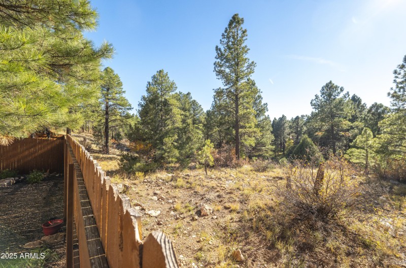 View of Open Space from Back Yard