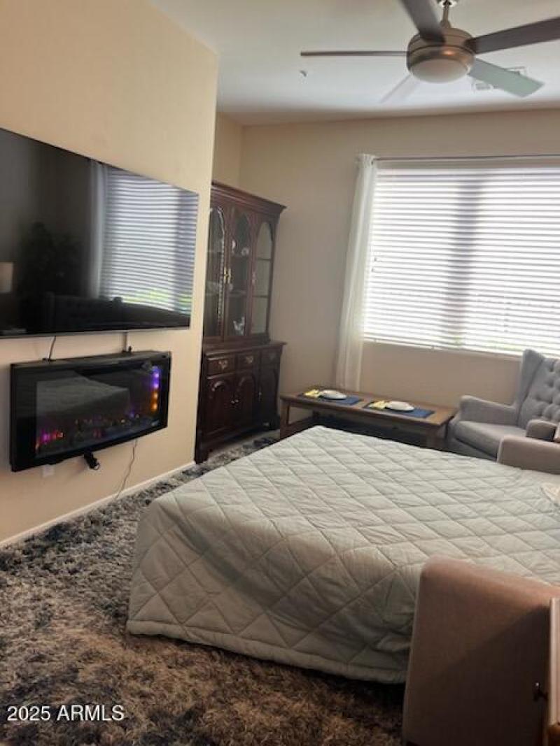 TELEVISION & ELECTRIC FIREPLACE