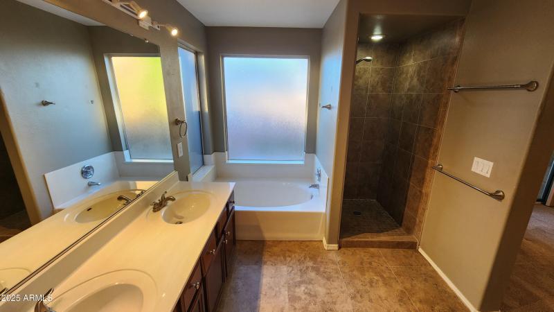 Primary bathroom tub shower vanity